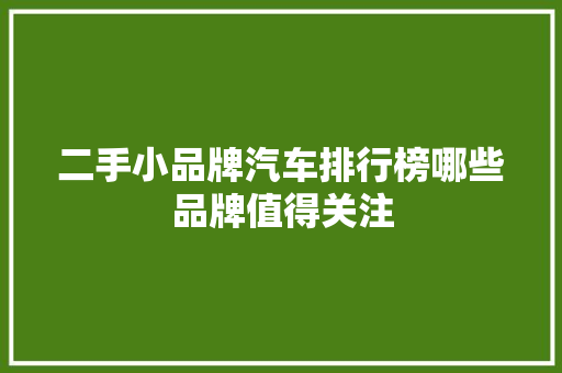 二手小品牌汽车排行榜哪些品牌值得关注