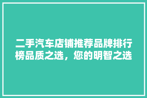 二手汽车店铺推荐品牌排行榜品质之选，您的明智之选