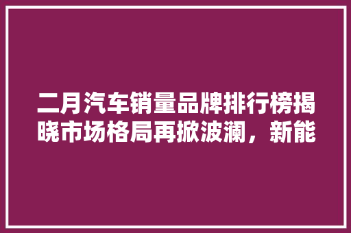 二月汽车销量品牌排行榜揭晓市场格局再掀波澜，新能源汽车异军突起