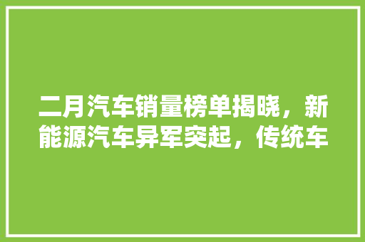 二月汽车销量榜单揭晓，新能源汽车异军突起，传统车企面临挑战
