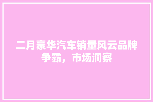 二月豪华汽车销量风云品牌争霸，市场洞察