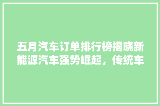 五月汽车订单排行榜揭晓新能源汽车强势崛起，传统车企面临挑战