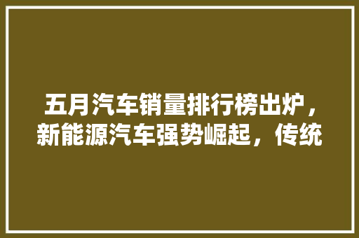五月汽车销量排行榜出炉，新能源汽车强势崛起，传统燃油车面临挑战