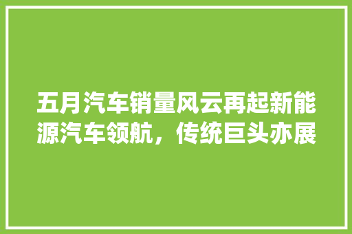 五月汽车销量风云再起新能源汽车领航，传统巨头亦展新姿