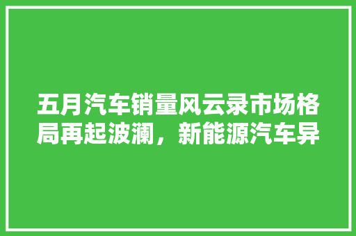五月汽车销量风云录市场格局再起波澜，新能源汽车异军突起