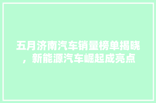 五月济南汽车销量榜单揭晓，新能源汽车崛起成亮点