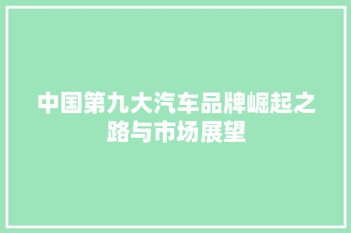 中国第九大汽车品牌崛起之路与市场展望