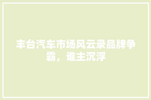 丰台汽车市场风云录品牌争霸，谁主沉浮