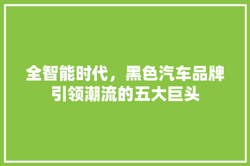 全智能时代，黑色汽车品牌引领潮流的五大巨头