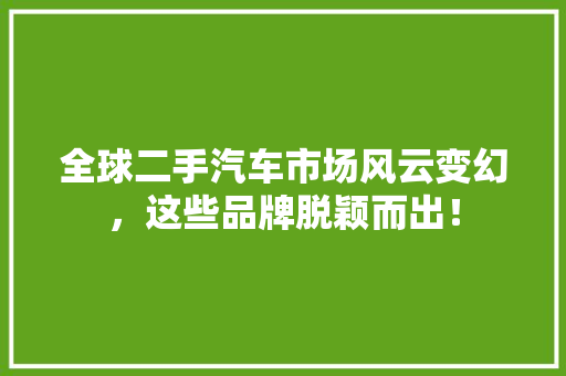 全球二手汽车市场风云变幻，这些品牌脱颖而出！