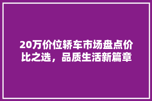 20万价位轿车市场盘点价比之选，品质生活新篇章