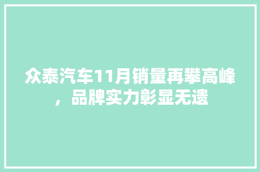众泰汽车11月销量再攀高峰，品牌实力彰显无遗
