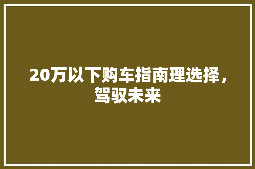 20万以下购车指南理选择，驾驭未来