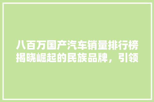 八百万国产汽车销量排行榜揭晓崛起的民族品牌，引领行业新潮流