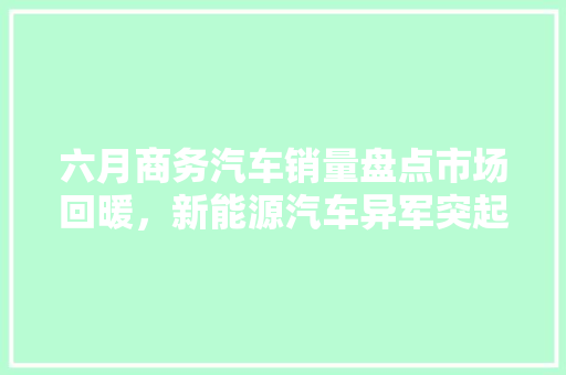 六月商务汽车销量盘点市场回暖，新能源汽车异军突起
