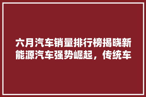 六月汽车销量排行榜揭晓新能源汽车强势崛起，传统车企面临挑战