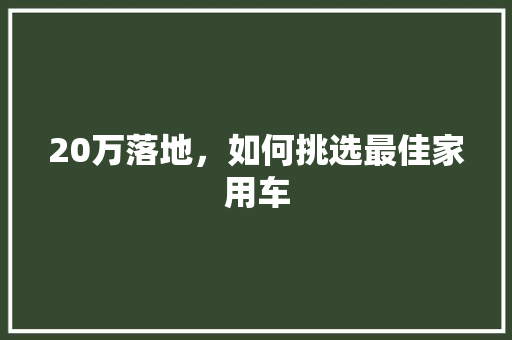 20万落地，如何挑选最佳家用车