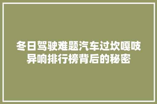 冬日驾驶难题汽车过坎嘎吱异响排行榜背后的秘密