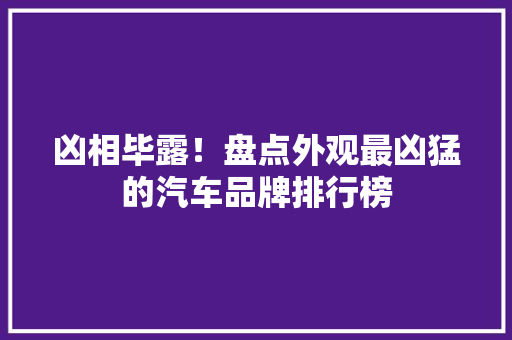 凶相毕露！盘点外观最凶猛的汽车品牌排行榜