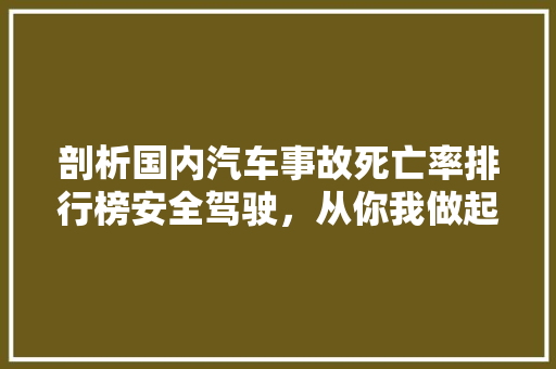 剖析国内汽车事故死亡率排行榜安全驾驶，从你我做起