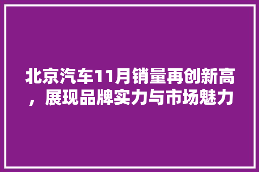 北京汽车11月销量再创新高，展现品牌实力与市场魅力