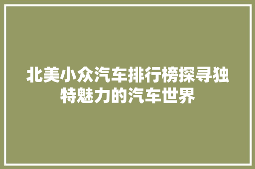北美小众汽车排行榜探寻独特魅力的汽车世界