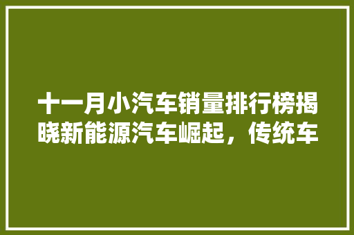 十一月小汽车销量排行榜揭晓新能源汽车崛起，传统车企面临挑战