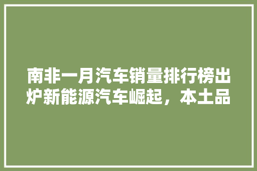 南非一月汽车销量排行榜出炉新能源汽车崛起，本土品牌展现新活力