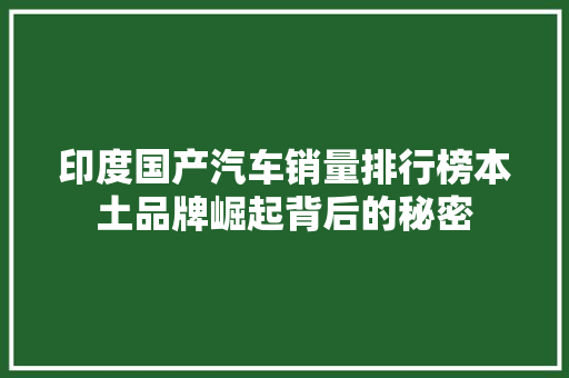 印度国产汽车销量排行榜本土品牌崛起背后的秘密