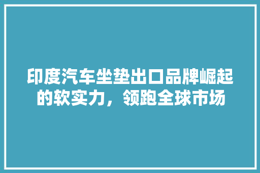 印度汽车坐垫出口品牌崛起的软实力，领跑全球市场
