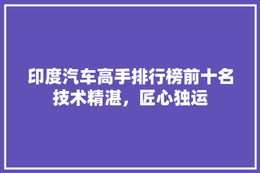 印度汽车高手排行榜前十名技术精湛，匠心独运