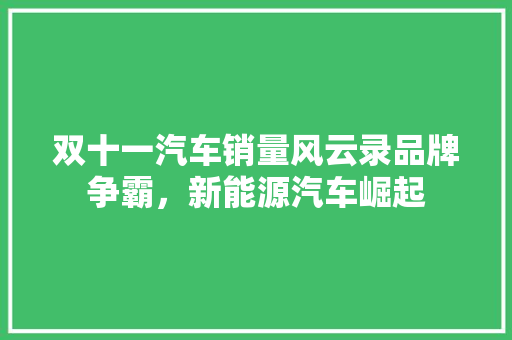 双十一汽车销量风云录品牌争霸，新能源汽车崛起