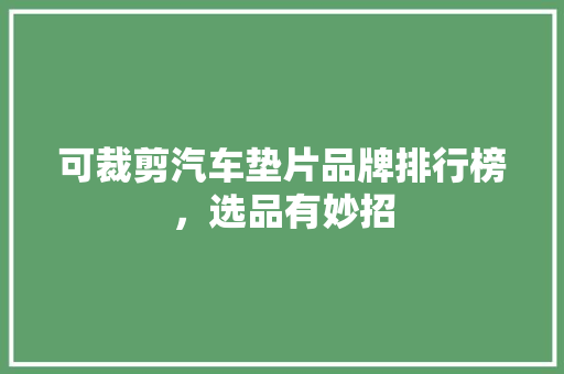 可裁剪汽车垫片品牌排行榜，选品有妙招