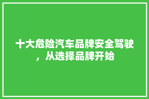 十大危险汽车品牌安全驾驶，从选择品牌开始