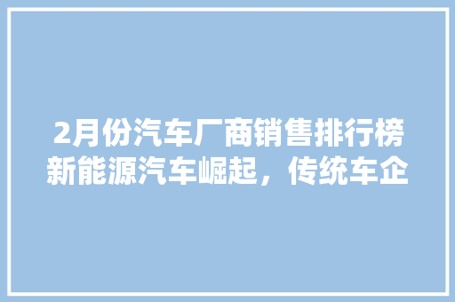 2月份汽车厂商销售排行榜新能源汽车崛起，传统车企面临挑战