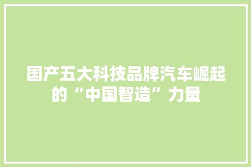 国产五大科技品牌汽车崛起的“中国智造”力量