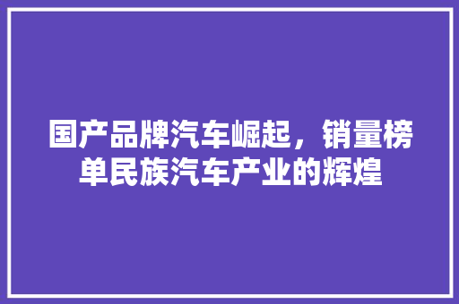 国产品牌汽车崛起，销量榜单民族汽车产业的辉煌