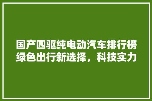 国产四驱纯电动汽车排行榜绿色出行新选择，科技实力引领未来