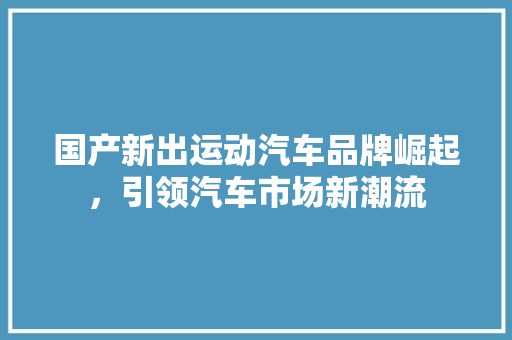 国产新出运动汽车品牌崛起，引领汽车市场新潮流