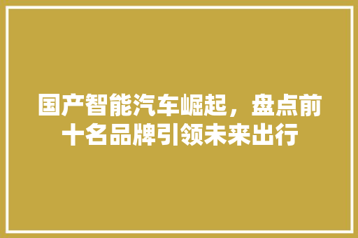 国产智能汽车崛起，盘点前十名品牌引领未来出行