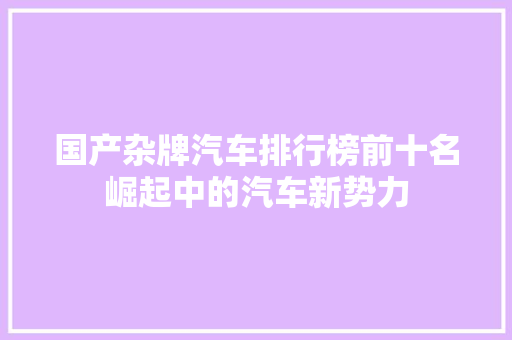 国产杂牌汽车排行榜前十名崛起中的汽车新势力