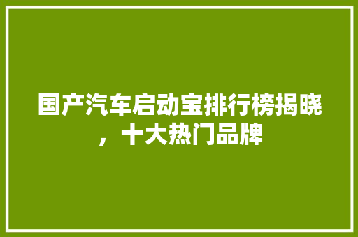 国产汽车启动宝排行榜揭晓，十大热门品牌