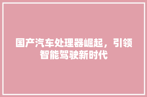 国产汽车处理器崛起，引领智能驾驶新时代