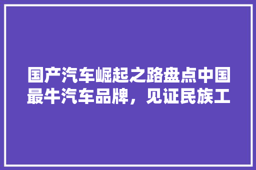 国产汽车崛起之路盘点中国最牛汽车品牌，见证民族工业辉煌成就