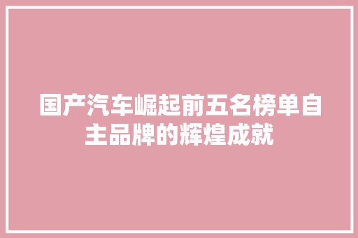 国产汽车崛起前五名榜单自主品牌的辉煌成就
