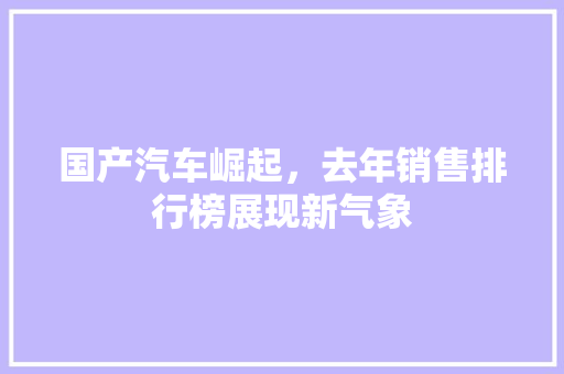 国产汽车崛起，去年销售排行榜展现新气象