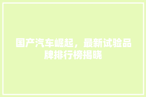 国产汽车崛起，最新试验品牌排行榜揭晓