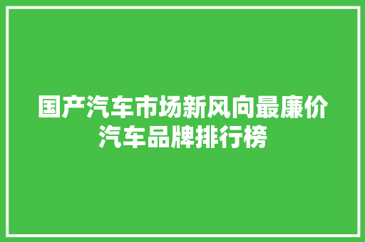 国产汽车市场新风向最廉价汽车品牌排行榜
