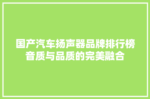 国产汽车扬声器品牌排行榜音质与品质的完美融合