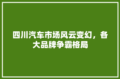 四川汽车市场风云变幻，各大品牌争霸格局
